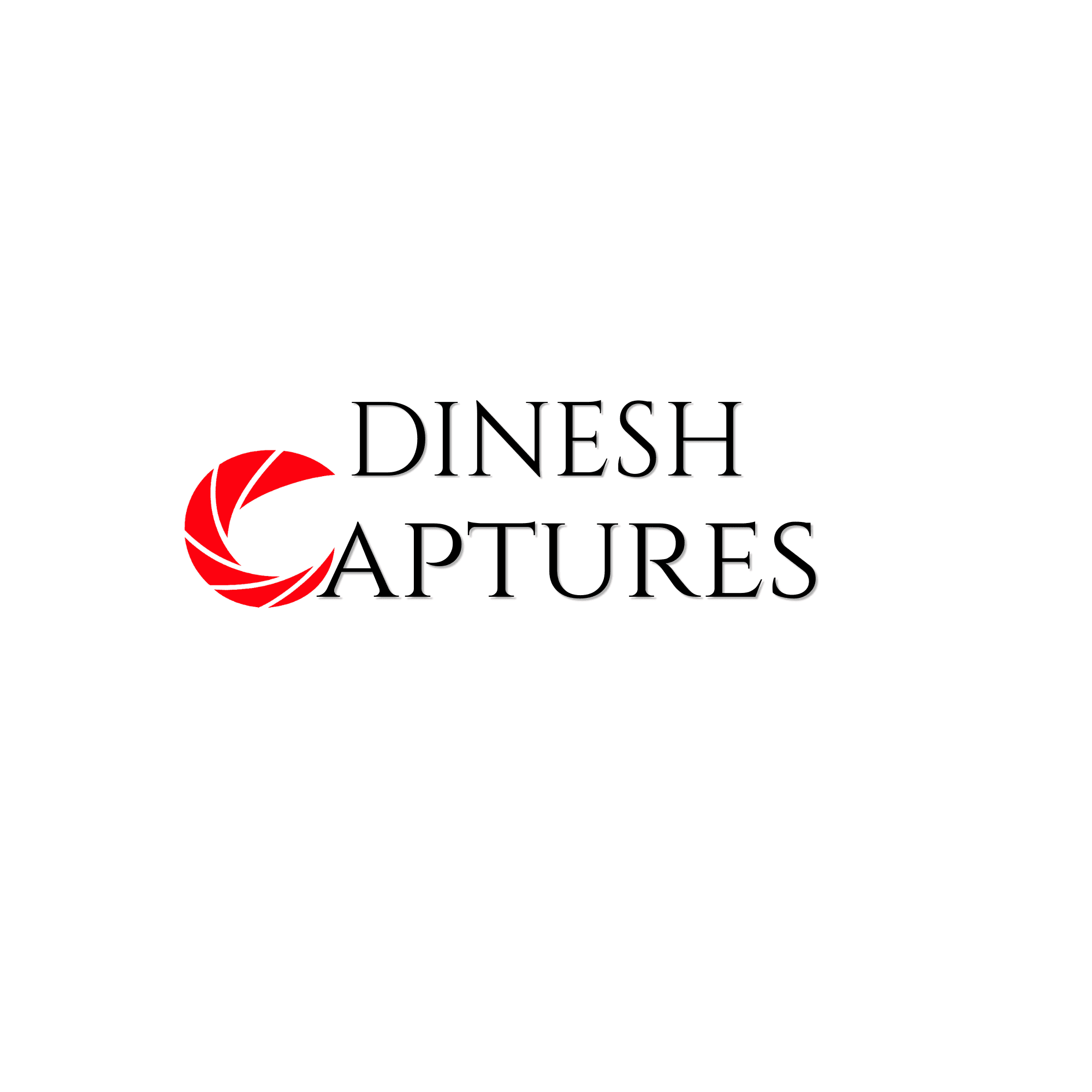 Dinesh Captures